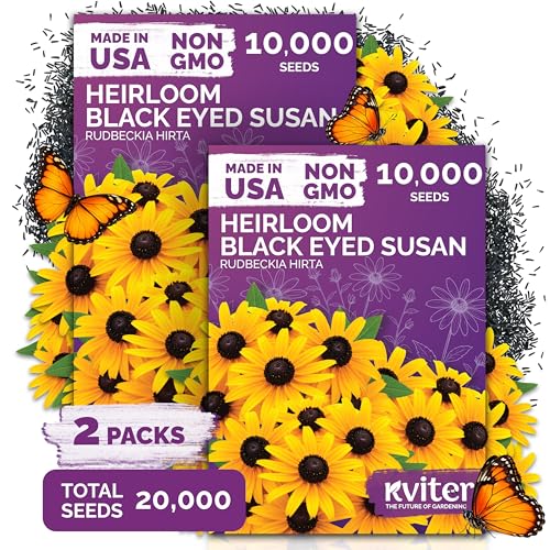 20 000 Black Eyed Susan Heirloom Flower Seeds for Planting