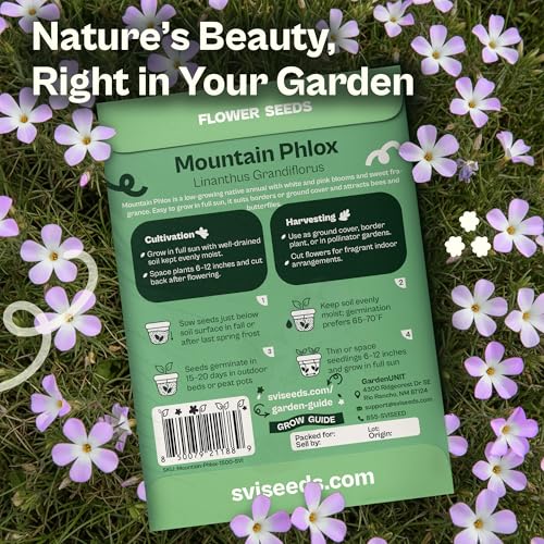 1500 Mountain Phlox Seeds