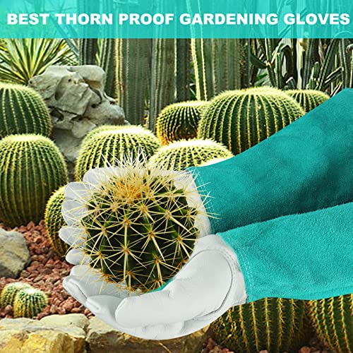 Gardening Gloves for Women Men (Green / Small (Pack of 1))