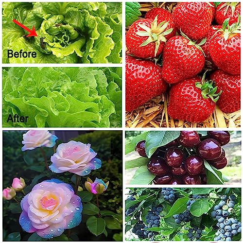 Garden Netting for Raised Beds Garden Protection Plant (10x33 ft / White-2 Pack)
