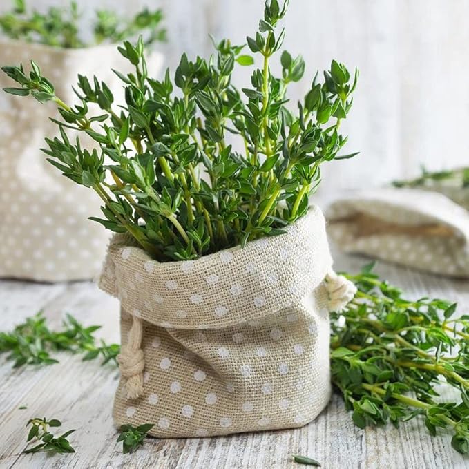Pepper Joe's Culinary Herb Seed Variety Pack – 600+ Premium Herb Seeds – Basil, Dill, Rosemary, Thyme, Parsley, and Cilantro – Ultimate Herb Seed Bundle