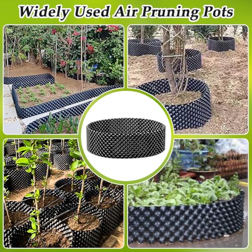 60 Gallon Air Pruning Container (60 gallon)