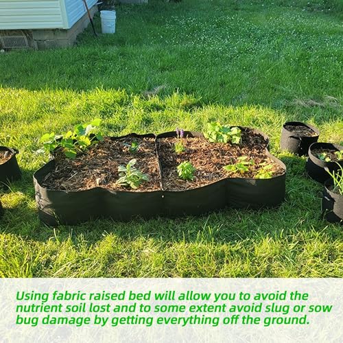 Fabric Raised Garden Bed (Rectangular / 2 Packs 8Grids 3x6 ft)