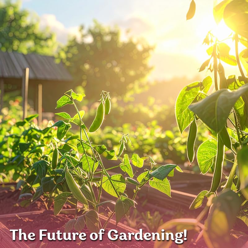 150 California Black Eyed Peas Vegetable Seeds