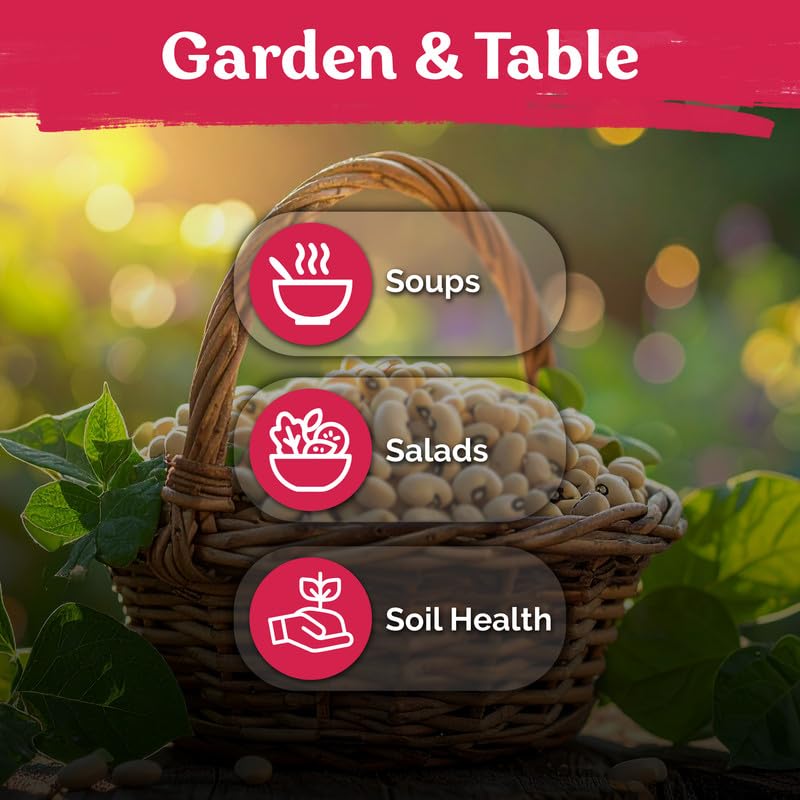 150 California Black Eyed Peas Vegetable Seeds