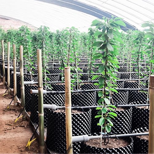 14 Gallon Air Pruning Planters (14 Gallon-5P)