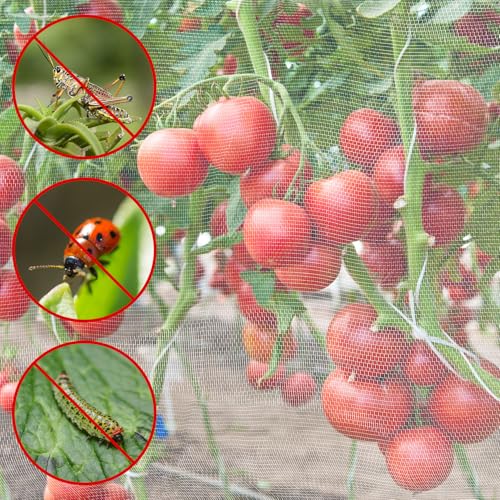 Garden Netting (10 x 50 Ft x 1 pc)