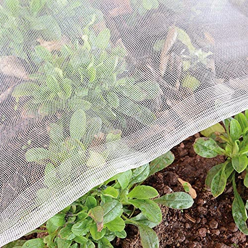 Garden Netting Bird Net 4x20Ft for Bug Protection (4'x20')