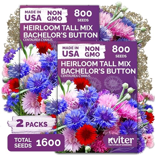 1 600 Mix Bachelor Button Heirloom Flower Seeds