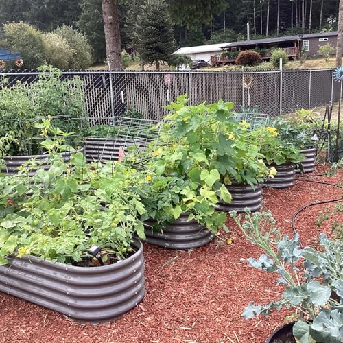 Anleolife 6x2x1.5ft Oval Galvanized Raised Garden Bed (Oval Round Grey / 6×2×1.5ft Tall)