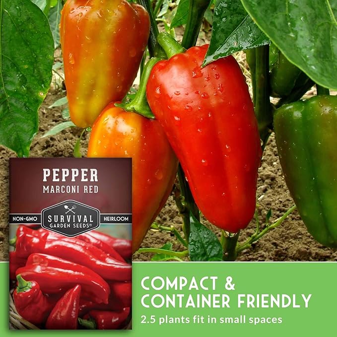 Marconi Red Pepper Seeds for Planting | Sweet Italian Heirloom Non-GMO Peppers for Roasting or Eating Fresh – Survival Garden Seeds (5 Packs)