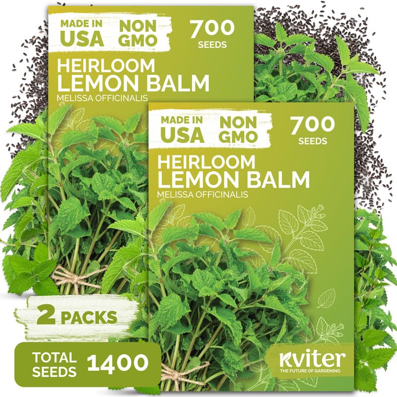 1 400 Lemon Balm Heirloom Herb Seeds for Planting
