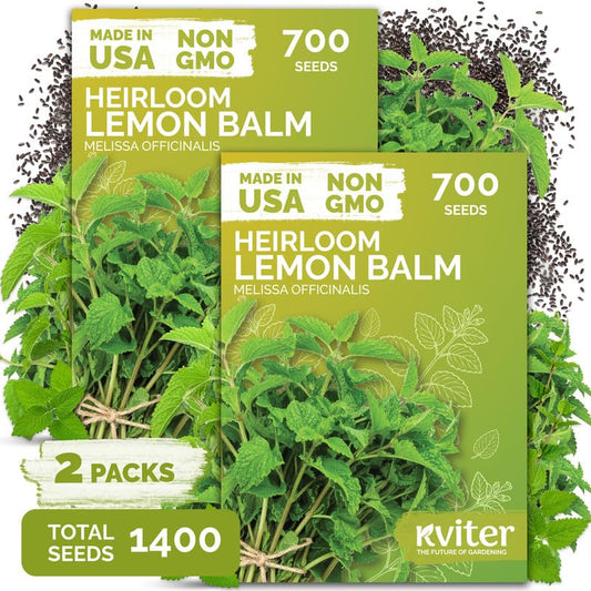 1 400 Lemon Balm Heirloom Herb Seeds for Planting