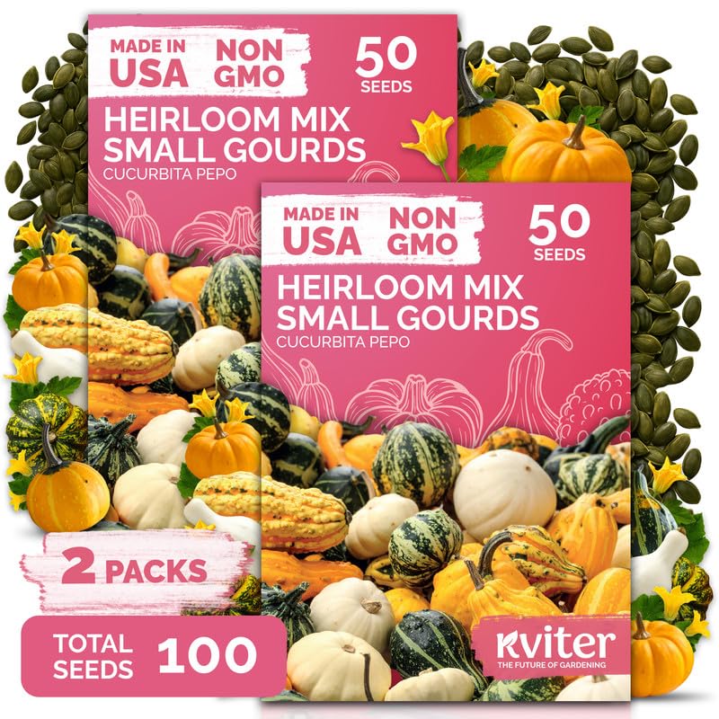 100 Small Gourd Heirloom Vegetable Seeds for Planting