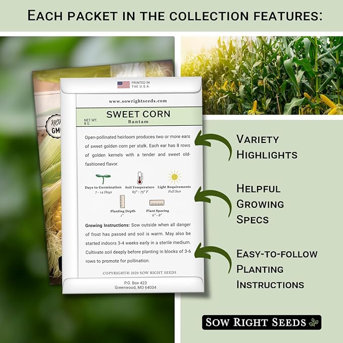 Sow Right Seeds - Sweet Corn Seed Collection for Planting - Includes Bantam & Country Gentleman - Non-GMO Heirloom Varieties for Home Vegetable Garden - Grow Delicious Corn on the Cob