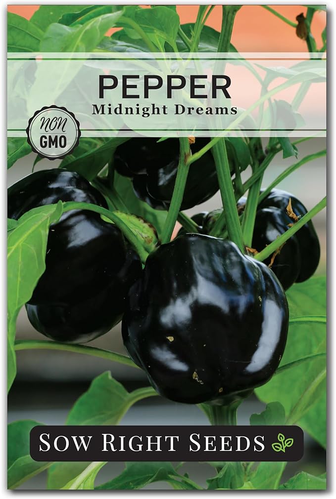 Sow Right Seeds - Midnight Dreams Pepper Seeds for Planting - Non-GMO Heirloom Bell Pepper Variety - Ideal for Indoor/Outdoor Gardens - Unique Peppers - Mature from Green to Black - High Yield (1)