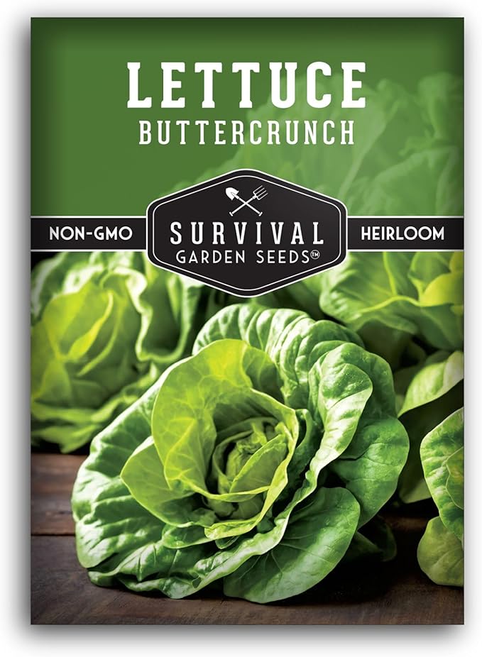 Buttercrunch Lettuce Seeds for Planting - Crisp Bibb Butter Lettuce Seeds for Gardens, Heat Tolerant High Yield Heirloom Non-GMO Variety - Survival Garden Seeds (1 Pack)