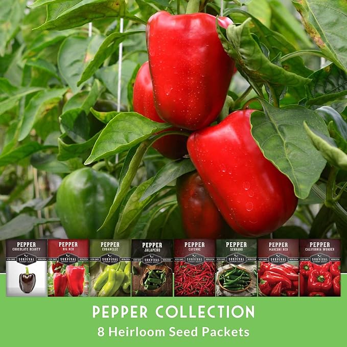 8 Pepper Seed Collection | Heirloom Varieties – Marconi, Chocolate Beauty, Cayenne & More | Non-GMO Seeds for Planting | Survival Garden Seeds