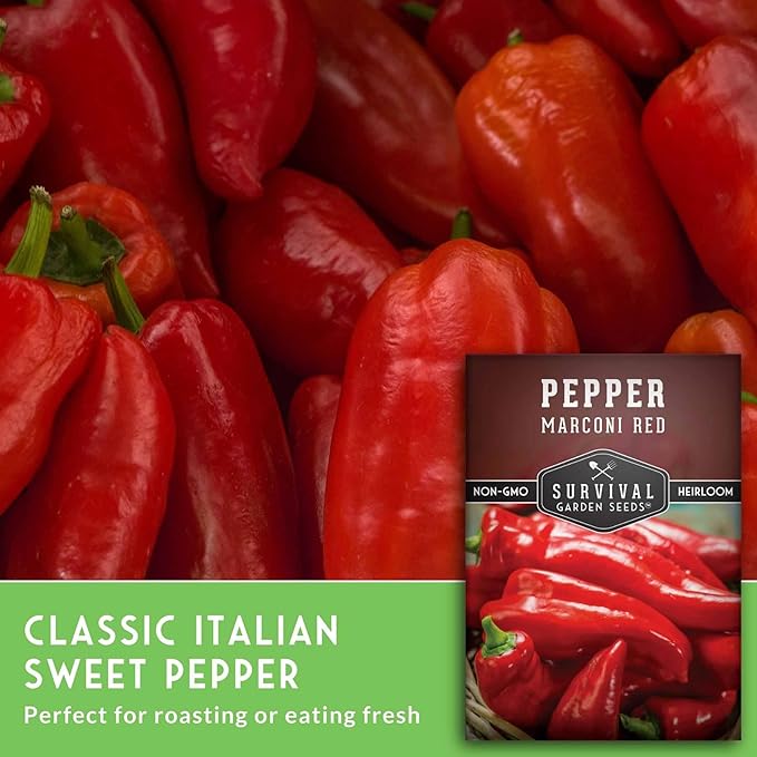 Marconi Red Pepper Seeds for Planting | Sweet Italian Heirloom Non-GMO Peppers for Roasting or Eating Fresh – Survival Garden Seeds (5 Packs)