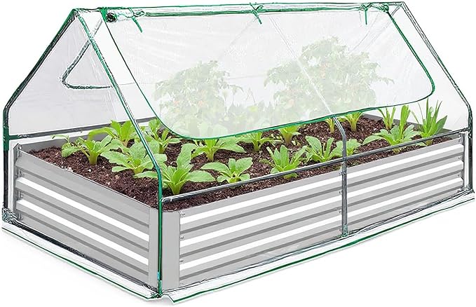 Raised Garden Bed with Cover Outdoor, Galvanized Metal Planter Box with PE Cover, 2 Large Screen Windows, 6x3x3 FT 3-in-1 Gardening Set with 1 Pair of Gloves for Vegetable Flower Herb Succulent Clear