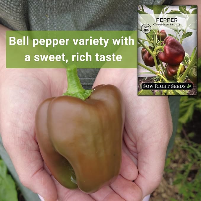 Sow Right Seeds - Chocolate Beauty Pepper Seed for Planting - Non-GMO Heirloom Packet with Instructions to Plant a Home Vegetable Garden - Sweet Bell Variety with Brown Skin and Mild Flavor (1)