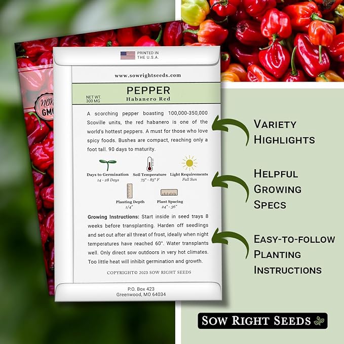 Sow Right Seeds - Habanero Red Pepper Seeds for Planting - Non-GMO Heirloom Packet with Instructions to Plant and Grow an Outdoor Home Vegetable Garden - Super Hot Chili - High Scoville Rating