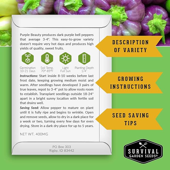 Purple Beauty Bell Pepper Seeds for Planting | Heirloom Sweet Purple Bell Peppers for Home Gardens – Non-GMO Open-Pollinated – Survival Garden Seeds (5 Packs)
