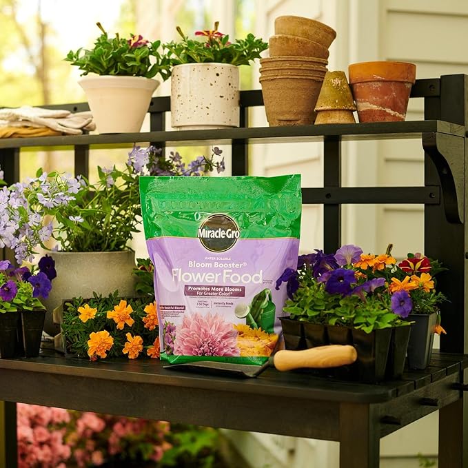 Miracle-Gro Water Soluble Bloom Booster Flower Food, Plant Food for Annual and Perennial Flowers, In-Ground and Container Plants, Roses, Hydrangeas, Hibiscus, 5.5 lb.