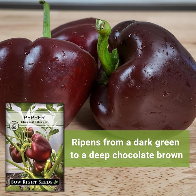 Sow Right Seeds - Chocolate Beauty Pepper Seed for Planting - Non-GMO Heirloom Packet with Instructions to Plant a Home Vegetable Garden - Sweet Bell Variety with Brown Skin and Mild Flavor (1)