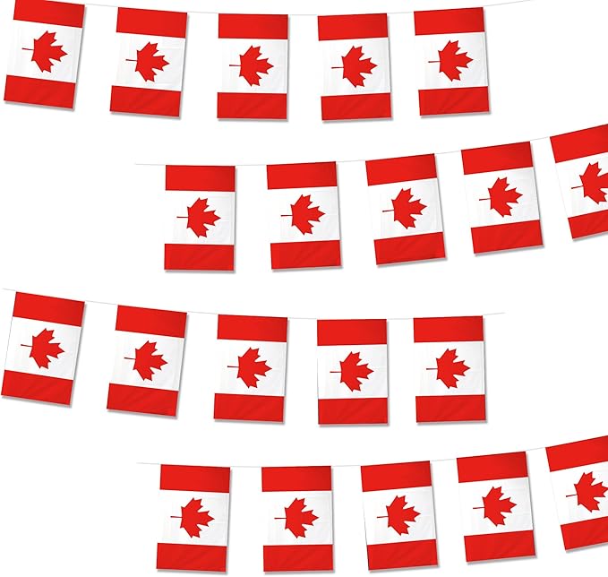 Canada Flags Canadian Small String Flag Banner Mini Hanging Flags Pennant Decorations For Schools,National Sports Events, Grand Opening,Patriotic Festival, Party, 20Ft 20 PCS