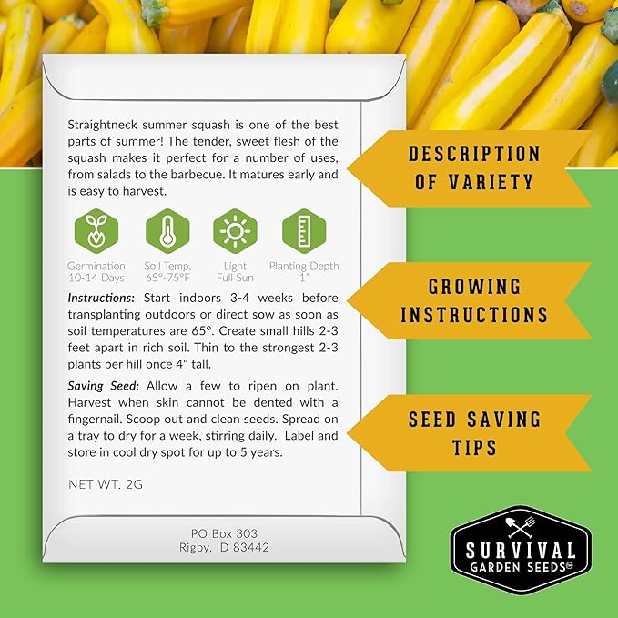 Survival Garden Seeds - Straightneck Summer Squash Seed for Planting - 3 Packets with Instructions to Plant and Grow Yellow Squash in Your Home Vegetable Garden - Non-GMO Heirloom Variety
