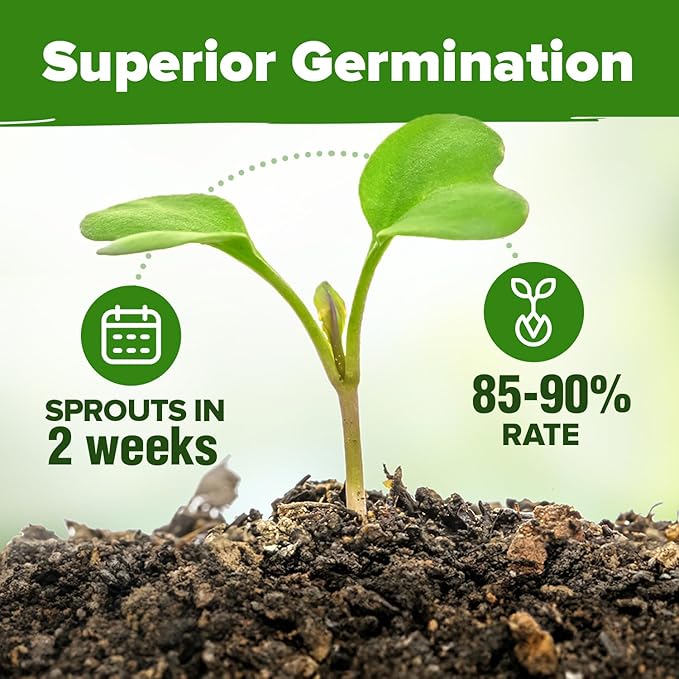 HOME GROWN 15 & 30 Culinary Herb Seeds Pack – 14,000+ Non-GMO USA Heirloom Seeds | Indoor & Outdoor Garden Variety for Hydroponics, Raised Beds, Windowsills & Kitchen Use