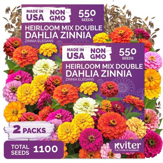1 100 Dahlia Zinnia Heirloom Flower Seeds for Planting