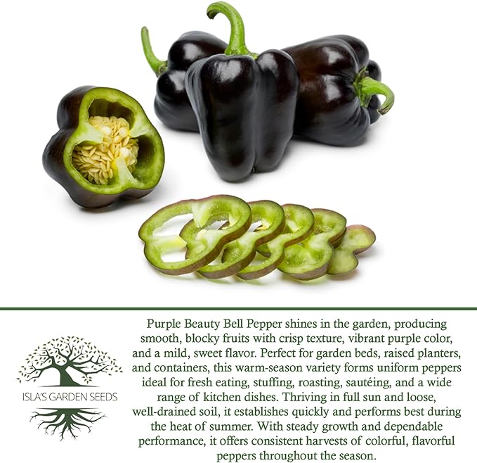 Purple Beauty Sweet Bell Pepper Seeds for Planting (Capsicum annuum) – 100+ Non-GMO Heirloom Seeds by Isla’s Garden Seeds, Vibrant Purple Peppers Ideal for Garden Beds, Containers & Fresh Use