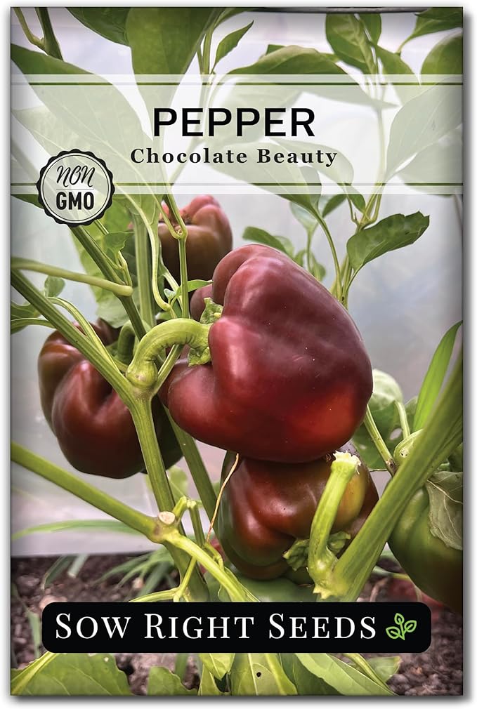Sow Right Seeds - Chocolate Beauty Pepper Seed for Planting - Non-GMO Heirloom Packet with Instructions to Plant a Home Vegetable Garden - Sweet Bell Variety with Brown Skin and Mild Flavor (1)