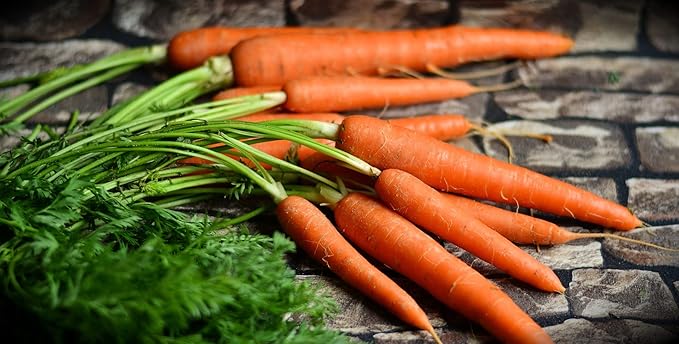 30 Assorted Packages of Vegetable Seeds, 15+ Varieties, All Seeds are Heirloom, 100% Non-GE