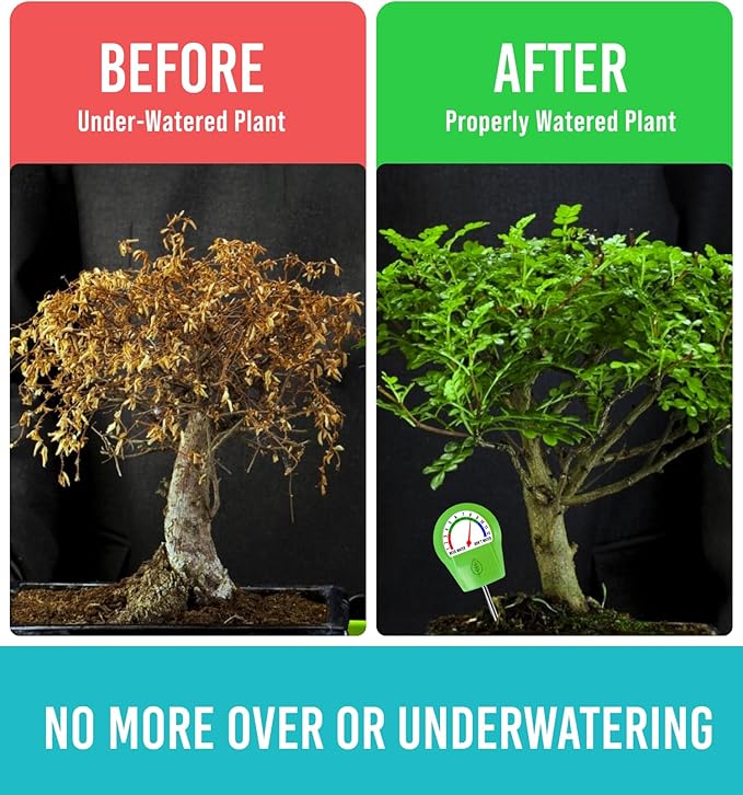 GROWIT Soil Moisture Meter for Plants - Plant Moisture Meter for House Plants - No Batteries Required