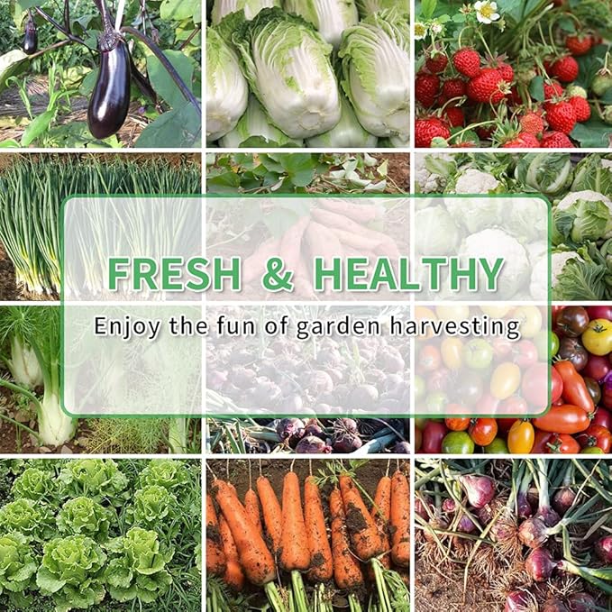 DIY Galvanized Raised Garden Beds 6 Pack, Easy DIY Metal Planter Boxes for Grow Fruit and Root Vegetables Flower