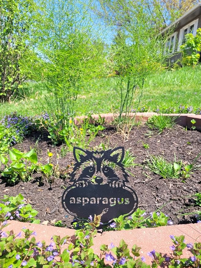 RealSteel Rocky The Raccoon Plant Markers – Cute Metal Garden Labels for Herbs & Vegetables | Outdoor Steel Plant Stakes for Garden, Greenhouse & Raised Beds | Gardening Gift | USA (CHIVES-B-6X13)