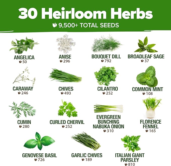 HOME GROWN 15 & 30 Culinary Herb Seeds Pack – 14,000+ Non-GMO USA Heirloom Seeds | Indoor & Outdoor Garden Variety for Hydroponics, Raised Beds, Windowsills & Kitchen Use