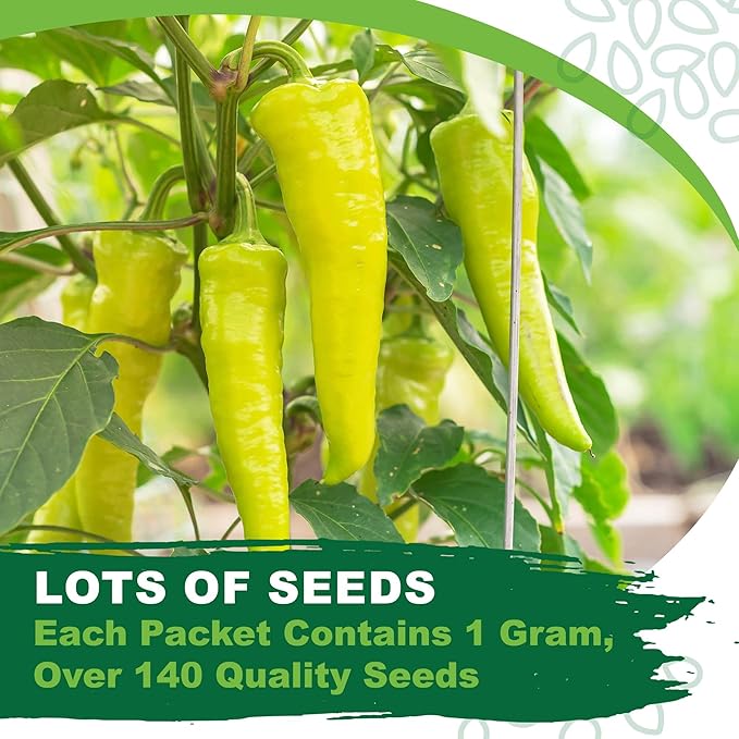 TKE Farms & Gardens - Sweet Banana Pepper Seeds for Planting, 1 Gram, 140+ Heirloom Seeds, Non-GMO, Instructions Included, Capsicum annuum, Qty 1