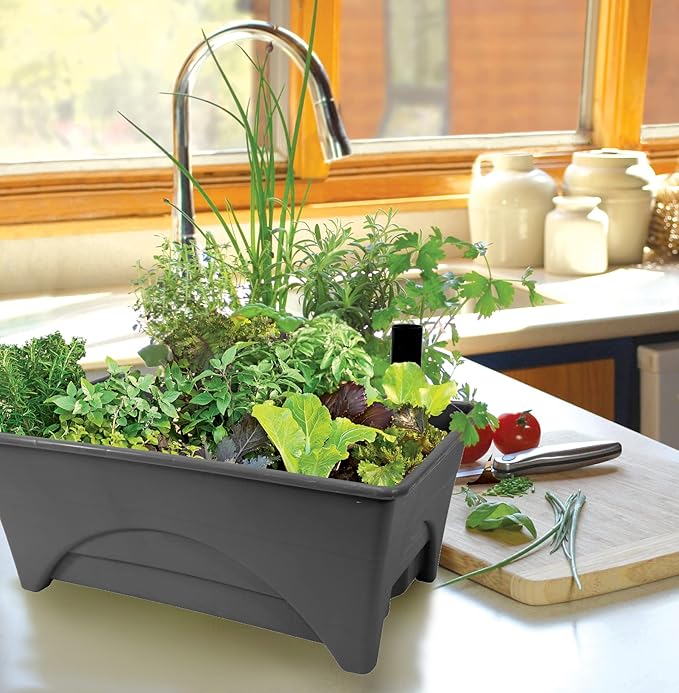 Emsco Group 2376-2-1 Start Pickin' Raised Bed Seed Starter-12 x 20"-2pk- Brown Grow Box