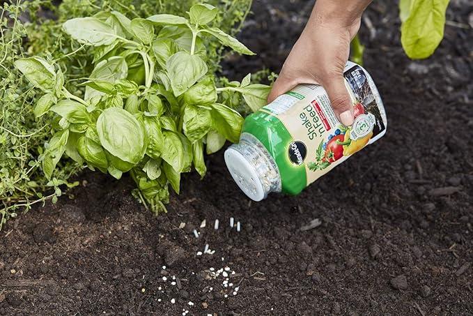 Miracle-Gro Shake 'N Feed Tomato, Fruit & Vegetable Plant Food, Plant Fertilizer, 1 lb. (6-Pack)