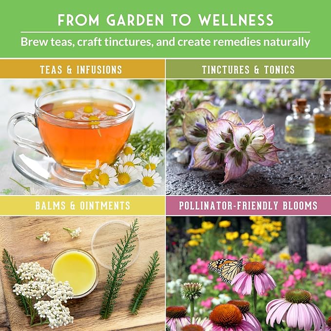 Ultimate Medicinal Herb Seeds Variety Pack – 36 Heirloom Non-GMO Healing Herbs for Planting | Wellness & Apothecary Garden Kit for Herbalists, Homesteaders – Survival Garden Seeds (28,000+)
