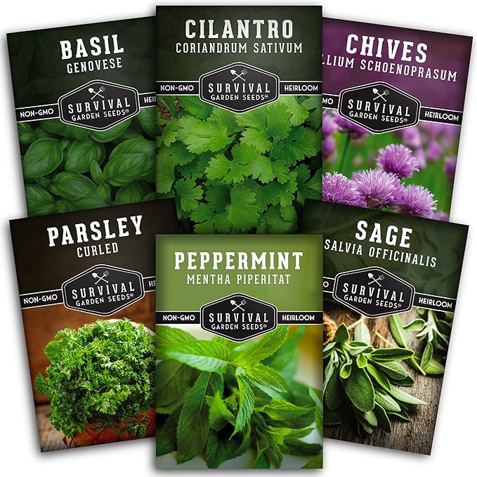 Hydroponic Herb Seeds for Indoor Garden | 6 Variety Pack – Peppermint, Curled Parsley, Cilantro, Basil Genovese, Chives, Sage – Heirloom Non-GMO Culinary Seed Collection – Survival Garden Seeds