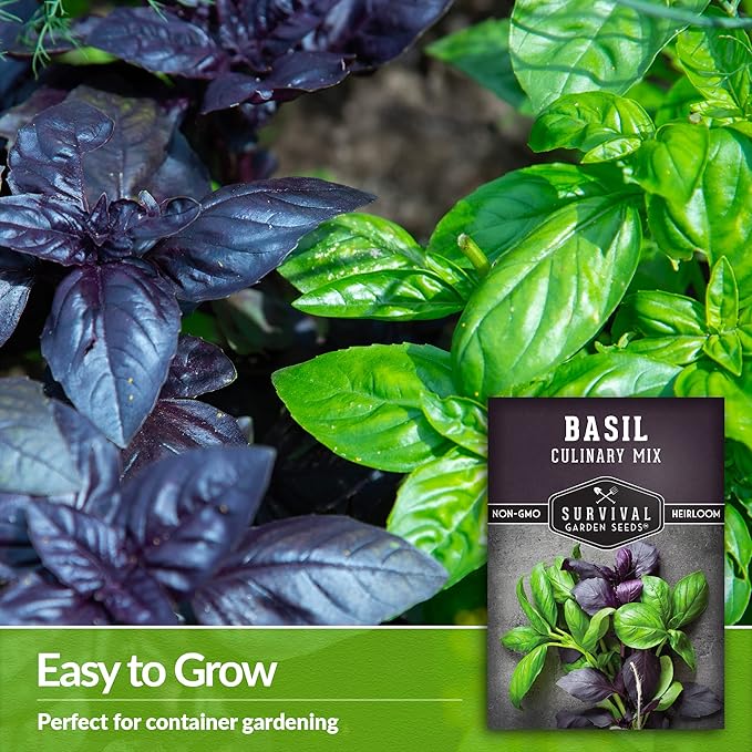 Basil Seeds Mix for Planting - Culinary Genovese Italian, Lemon, Lime, Opal & Thai Basil Seed Blend - Heirloom Non-GMO Kitchen Garden Herbs - Survival Garden Seeds (3 Packs)