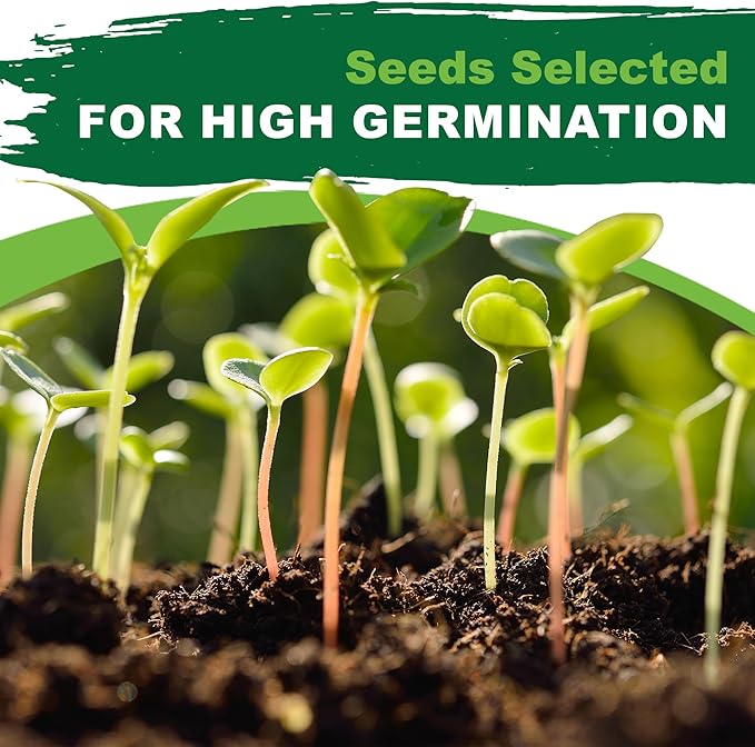 TKE Farms & Gardens - Sweet Banana Pepper Seeds for Planting, 1 Gram, 140+ Heirloom Seeds, Non-GMO, Instructions Included, Capsicum annuum, Qty 1