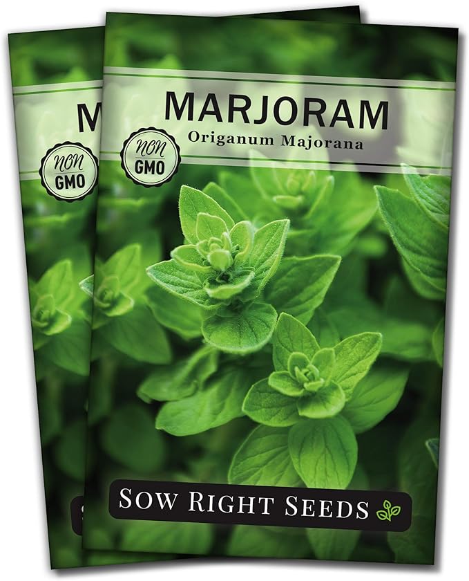 Sow Right Seeds - Marjoram Seeds for Plantin - Non-GMO Heirloom Packet with Instructions to Grow A Beautiful Herb Garden - Plant Indoors and Outdoors - Savory Culinary Herb in The Kitchen (2)