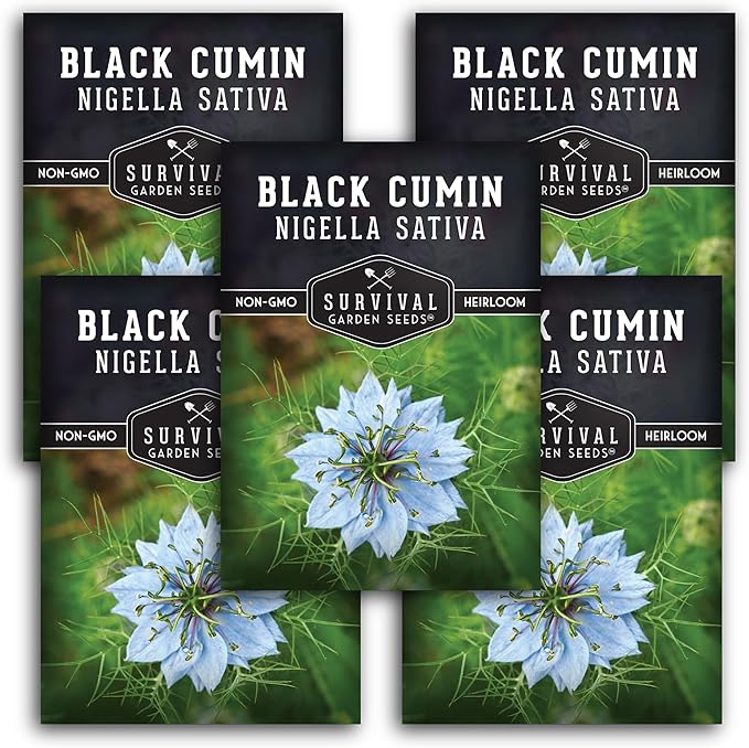 Survival Garden Seeds Black Cumin Seed for Planting - 5 Packets with Instructions to Plant and Grow Beneficial Nigella Sativa Plants in Your Home Vegetable Garden - Non-GMO Heirloom