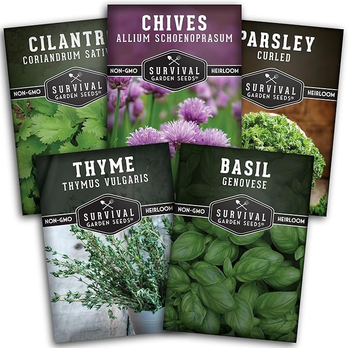 Kitchen Herb Seeds Variety Pack – 5 Garden Herb Seeds for Planting: Basil, Curly Parsley, Cilantro, Chives & Thyme – Heirloom Non GMO Indoor Outdoor Seed Vault - Survival Garden Seeds